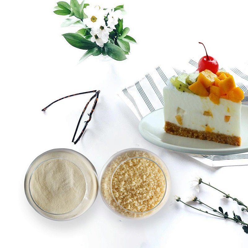 2024 food gelatina gelatin wholesale with certificate